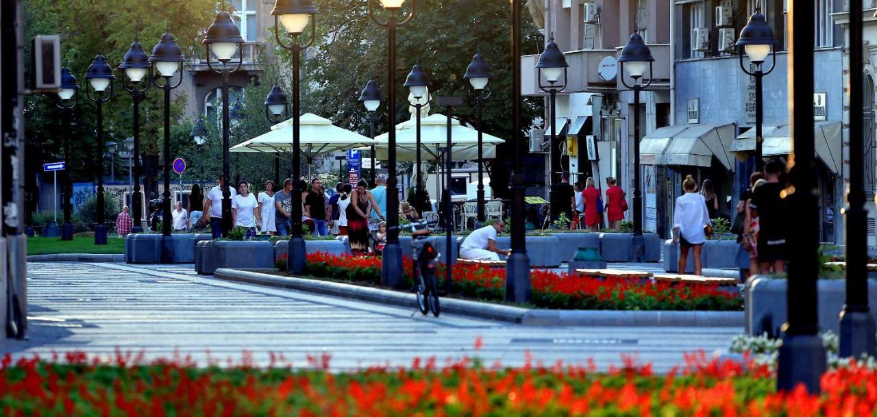 Red Rouz Lägenhet Belgrad Exteriör bild